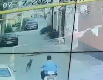 骑电动车女子被突然窜出的狗撞倒身亡，狗主人见事情严重否认养狗称只是路过，将狗打死后扔进废井中；家属拒绝和解，警方已立案 - 图3
