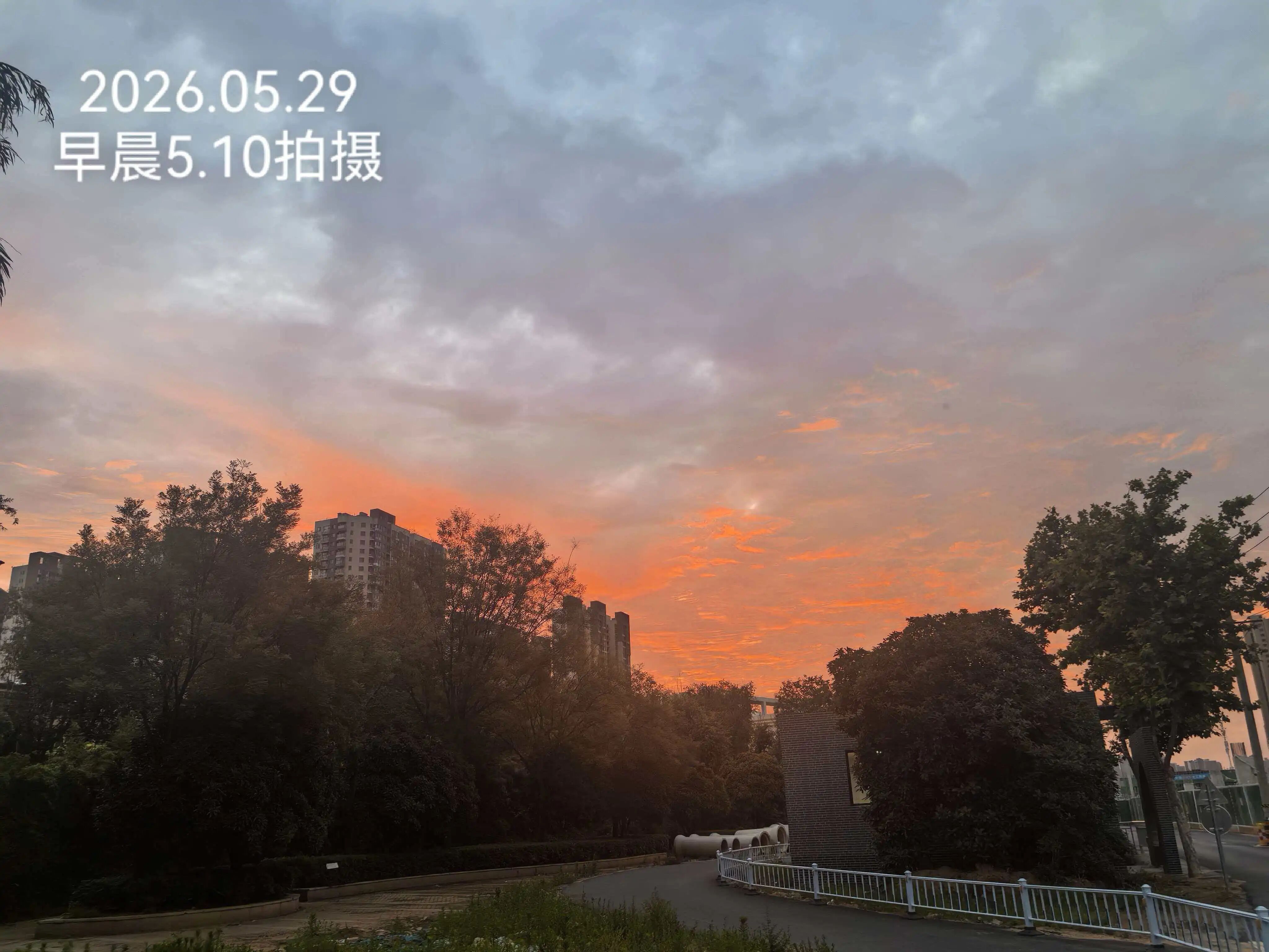 美得很！被郑州今早的朝霞惊艳到了 - 图4