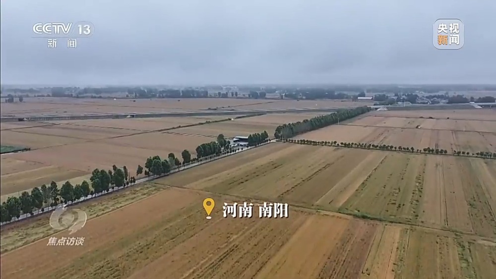焦点访谈丨战阴雨 抢农时 湖北、河南、山东三大小麦主产区这样保丰收 - 图3