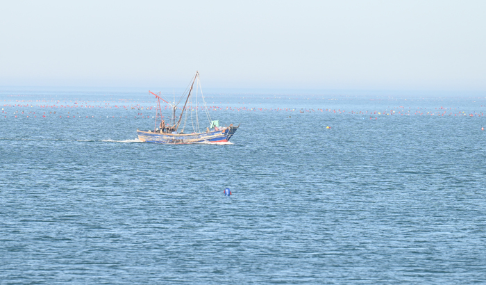 碧海沙洲 生态碳汇 山东智慧海洋媒体行走进长岛海洋生态文明综合试验区 - 图1