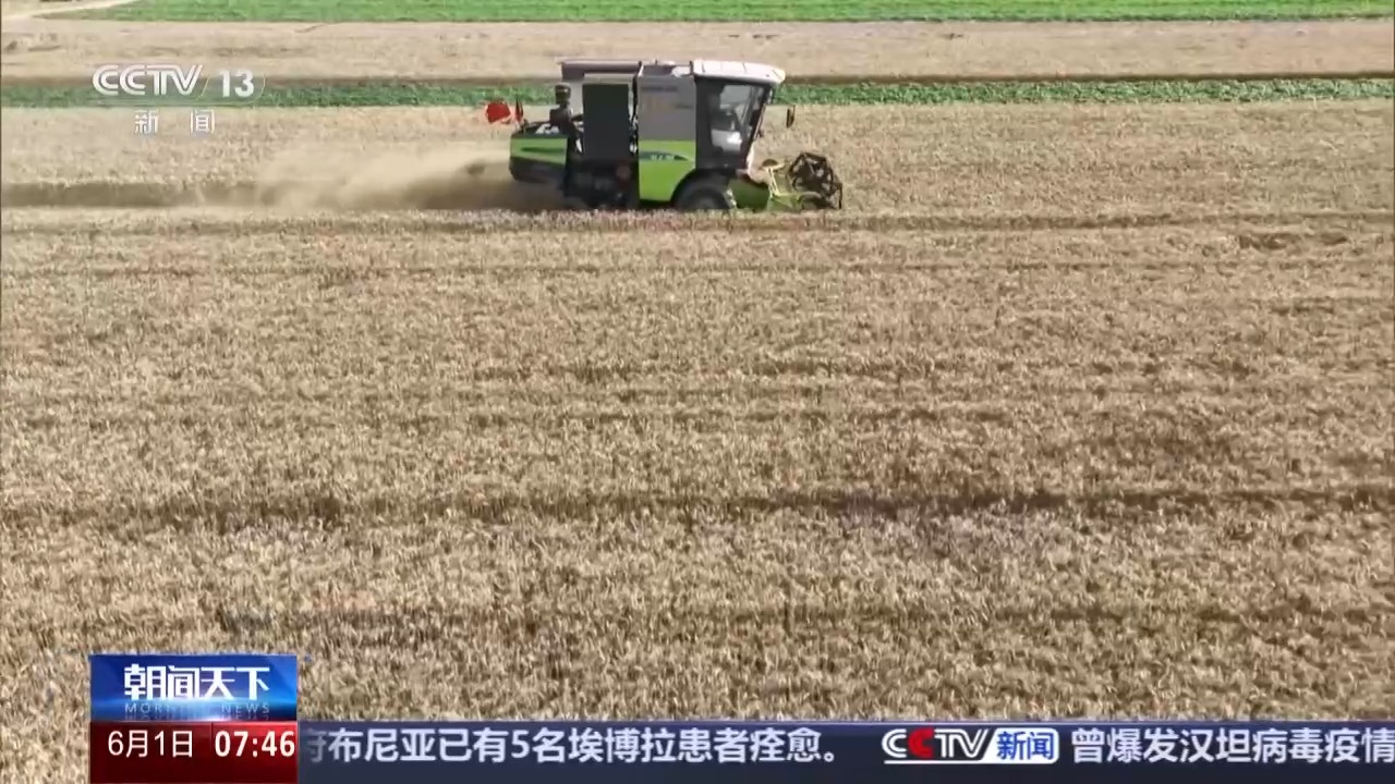 视频丨三夏“麦收地图”更新 全国已收小麦7613万亩 - 图1