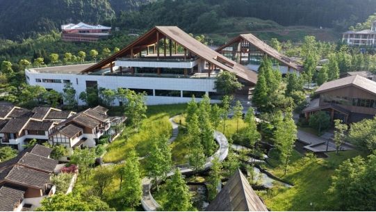 以养兴产 以产促旅 江津四面山跑出康养融合加速度 - 图4