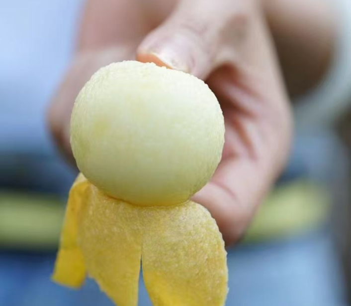 吃今年白玉枇杷的，要趁雨来之前——这大概是一年最甜的几天了 - 图3