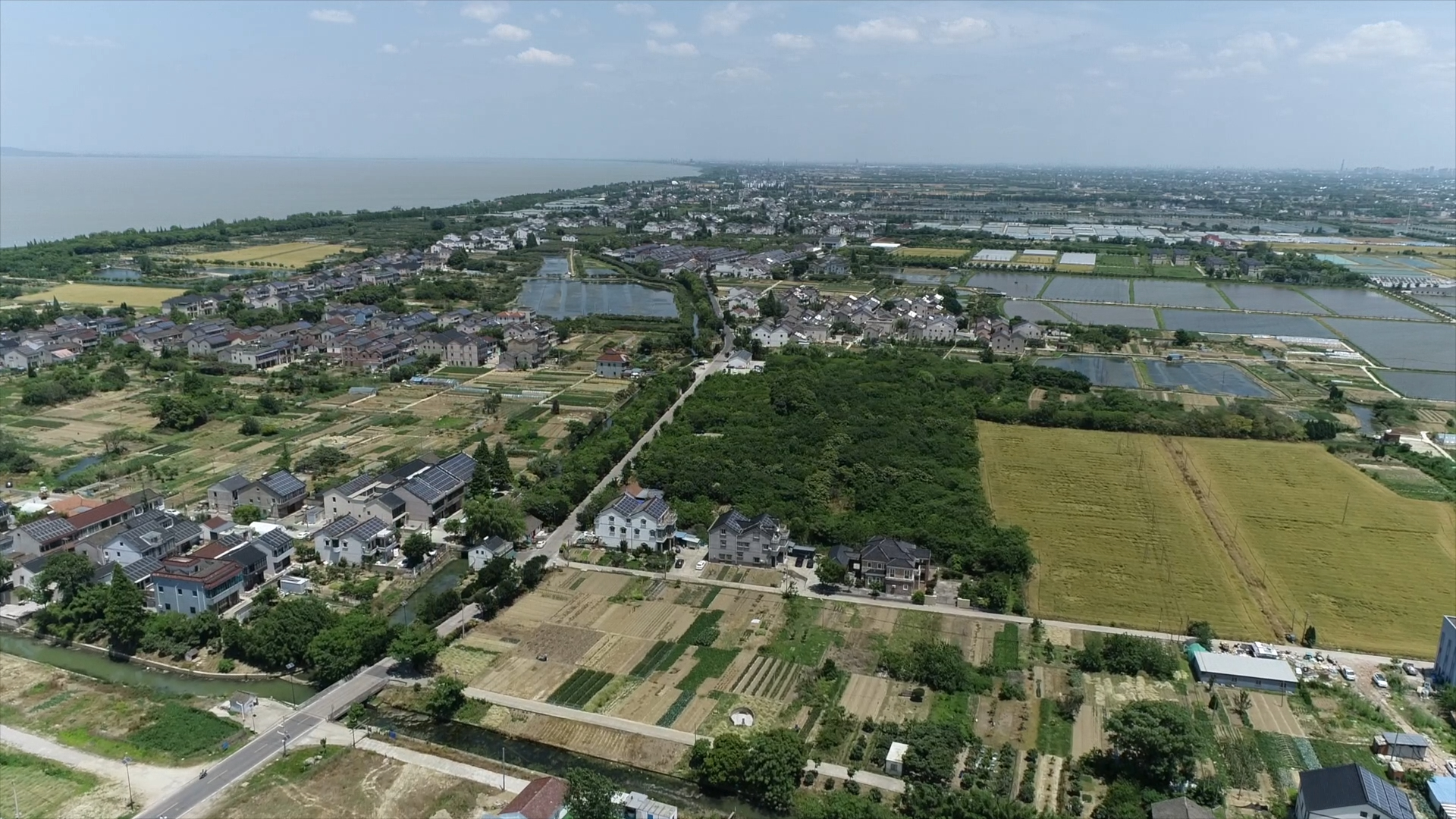 浙江湖州：千亩枇杷飘香 绘就初夏好“丰”景 - 图1