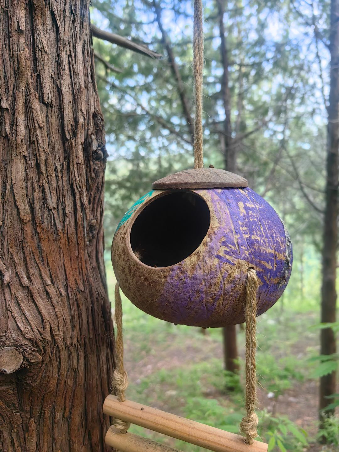 穿行济南南山，一树一巢，山林给鸟儿安了家 - 图2