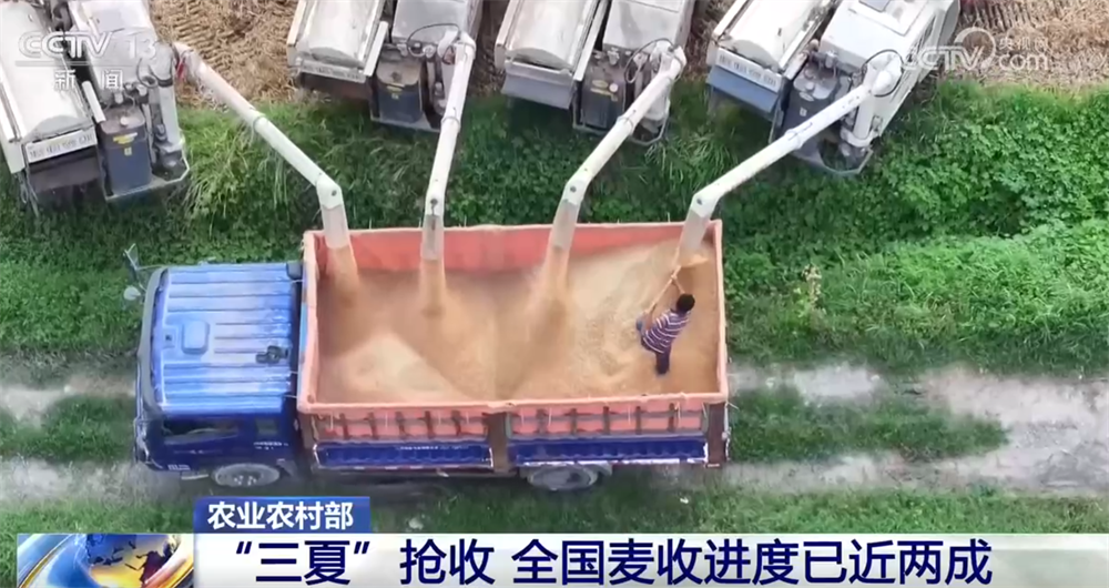 各地多措并举确保“三夏”抢收颗粒归仓 数字化调度让麦收跑出“新速度” - 图1