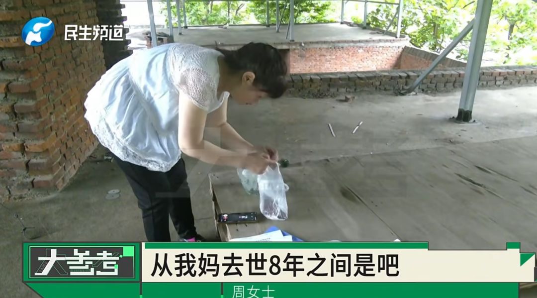 “感觉妈妈彻底走了！”女子20年老宅被亲戚擅装光伏板，母亲种的树全被砍 - 图2