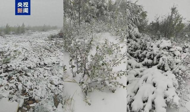 一觉醒来“穿越”入冬！黑龙江大兴安岭出现降雪，最低气温降至零下，有景区封闭、限流 - 图1