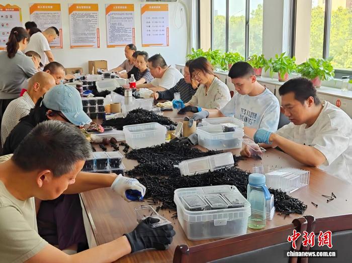汇聚温暖之光 嘉兴多措并举点亮残疾人幸福生活 - 图3