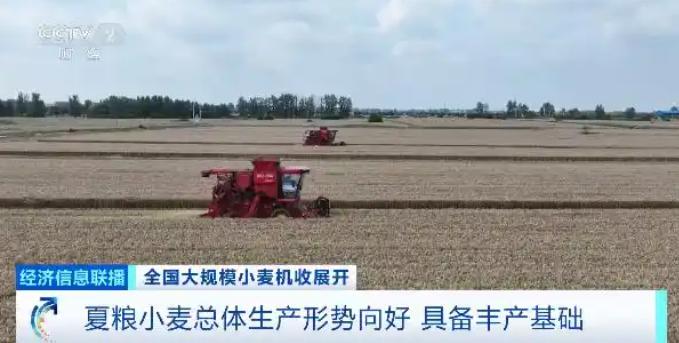 夏粮小麦总体生产形势向好具备丰产基础 - 图1