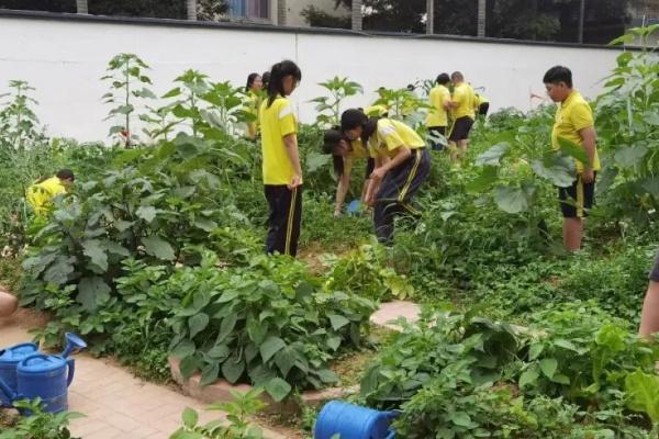 福清市：方寸菜地强责任劳动实践润心田 - 图1