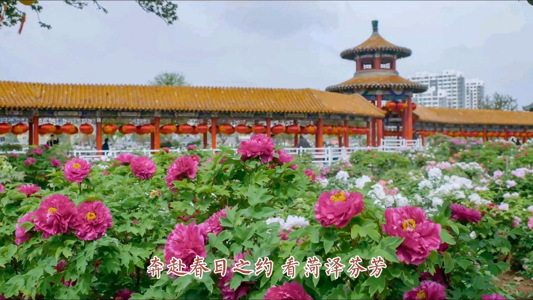 菏泽鲁西新区夫妻走心力作！《花样菏泽》唱响家乡最美模样 - 图5