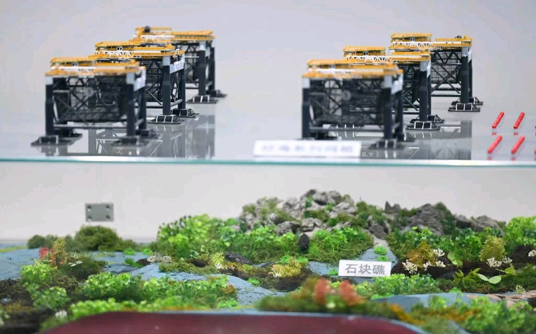 从1.8万亩养殖清退到87%自然岸线：长岛这盘“生态棋”下得有多大？ - 图2