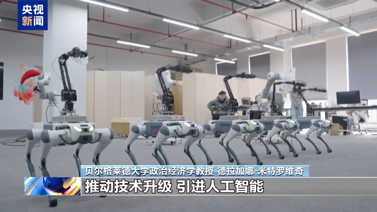 视频丨塞尔维亚专家：期待塞中各领域合作迈向新高度 - 图1