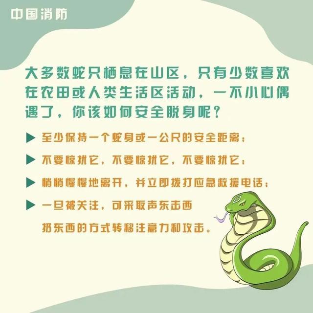 夫妻上班途中突遇2米长眼睛王蛇，相距仅5米！ - 图3