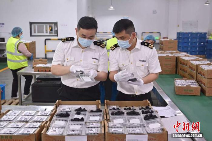 今年前4个月上海干鲜瓜果及坚果出口货值同比增逾九成 - 图1