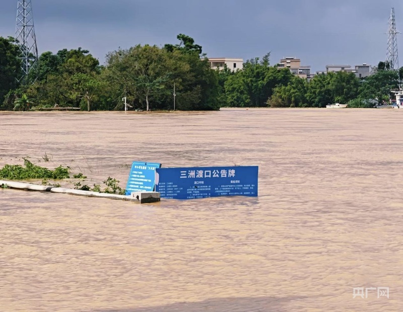 阳江遭遇广东史上最强暴雨袭击 极端雨情下如何实现人员零伤亡？ - 图3
