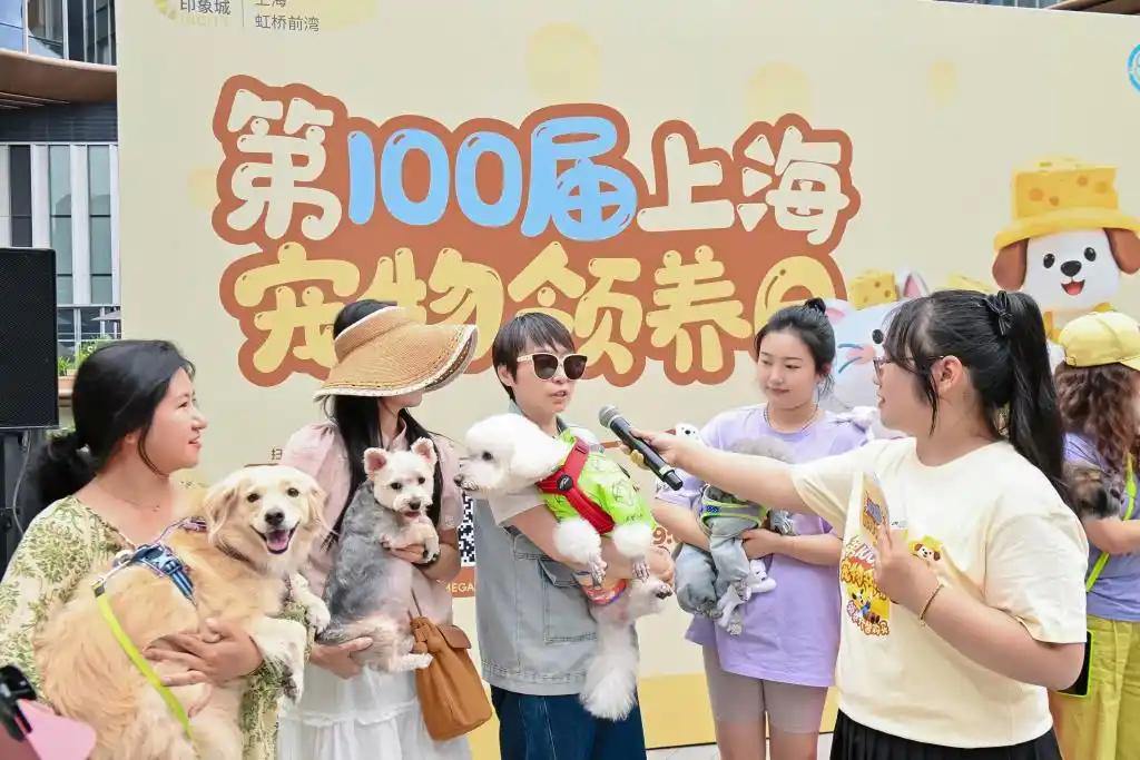 探索人宠友好新场景，第100届上海宠物领养日启幕 - 图7