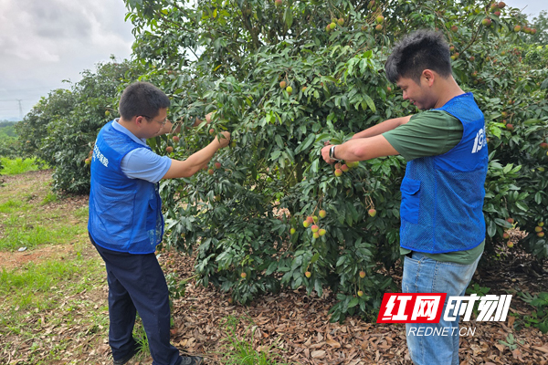 与暴雨赛跑！中国太保筑牢汛期安全防线 - 图3