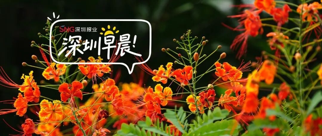 深圳早晨｜今天起，开空调请调整一下！ - 图1