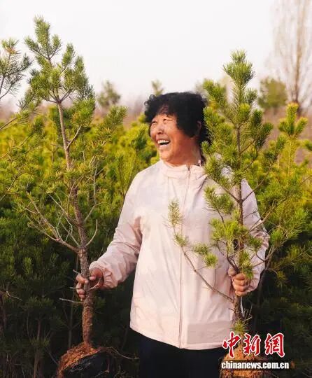 中美关系的源头活水，是无数个殷玉珍与赛考斯 - 图2