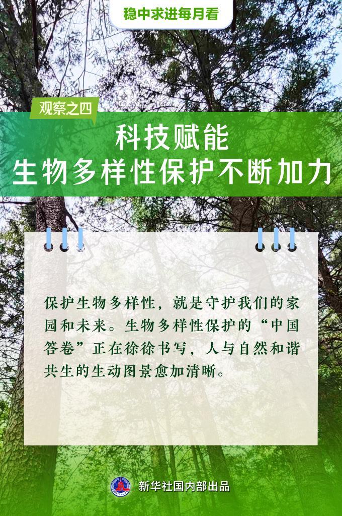 稳中求进每月看丨稳舵扬帆正当时——5月全国各地经济社会发展观察 - 图5