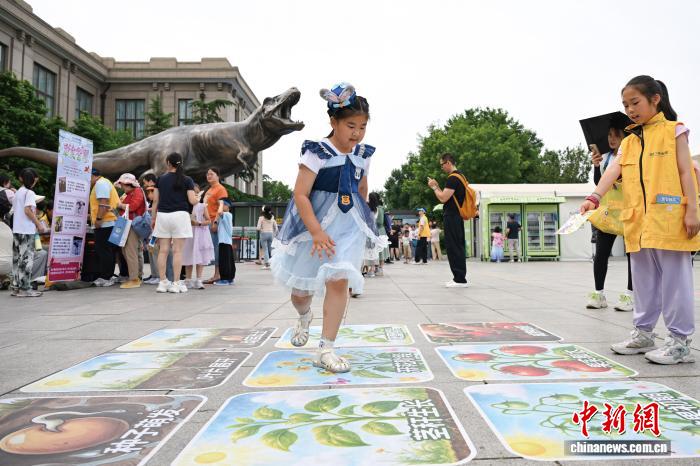 国际儿童节前夕 国家自然博物馆举办“六一”主题科普活动 - 图2