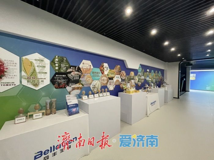 趵眼｜从意向旁落到倾心扎根，济南凭什么打动行业龙头？ - 图6
