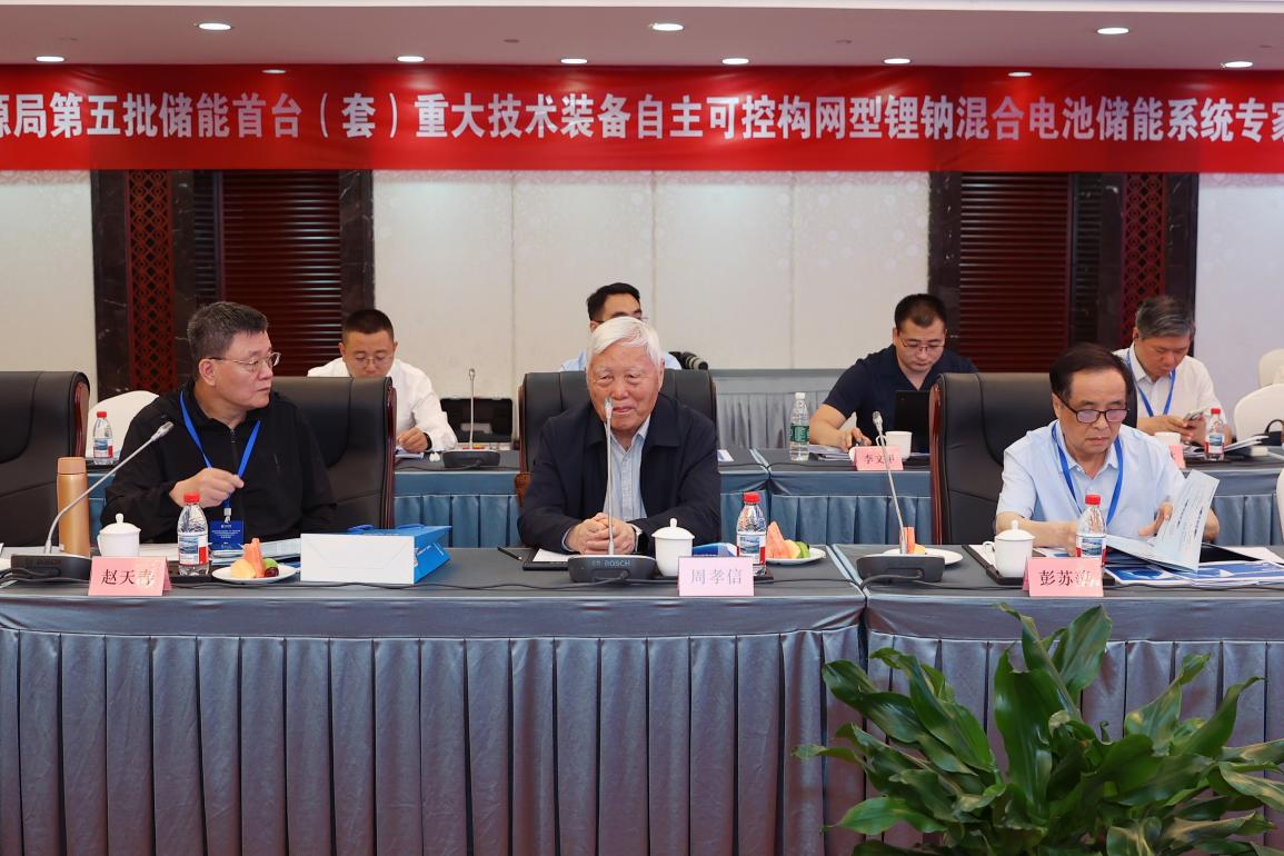 国家级储能首台（套）专家咨询会在京召开院士专家共议海辰长时储能发展 - 图2