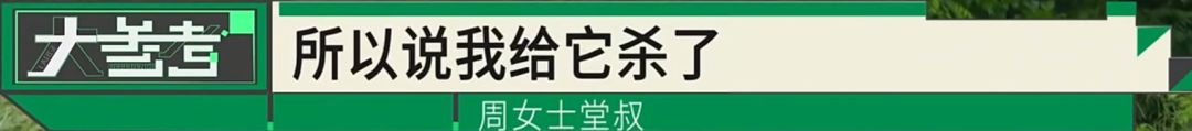 “感觉妈妈彻底走了！”女子20年老宅被亲戚擅装光伏板，母亲种的树全被砍 - 图30
