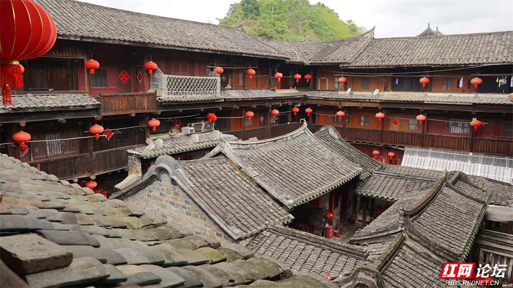黄土墙内，烟火人间：感受客家人世代相传的生活美学 - 图13