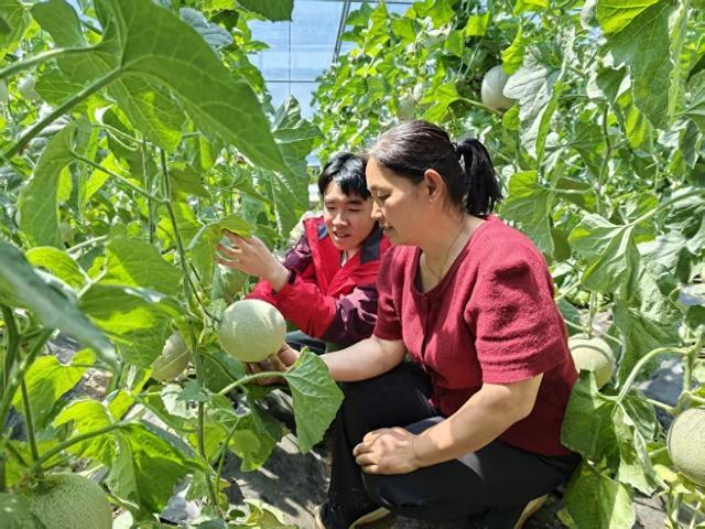 科技小院助农增收 - 图1