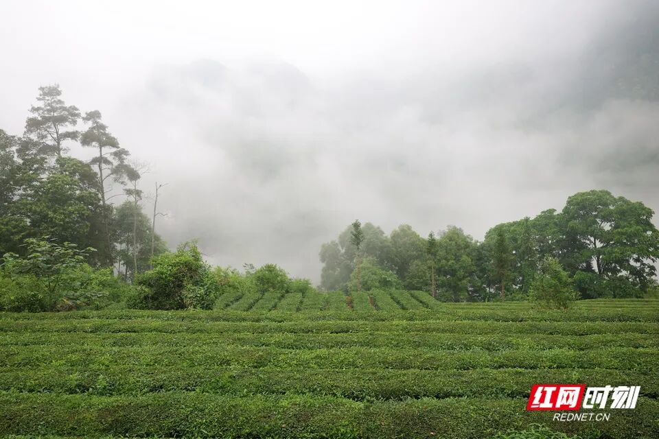 影像故事｜撤离“孤岛”，100多名乡亲结伴徒步的7小时 - 图14