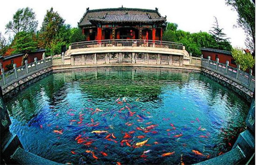 趵眼｜从主场外交，看济南的中东欧合作机遇 - 图3
