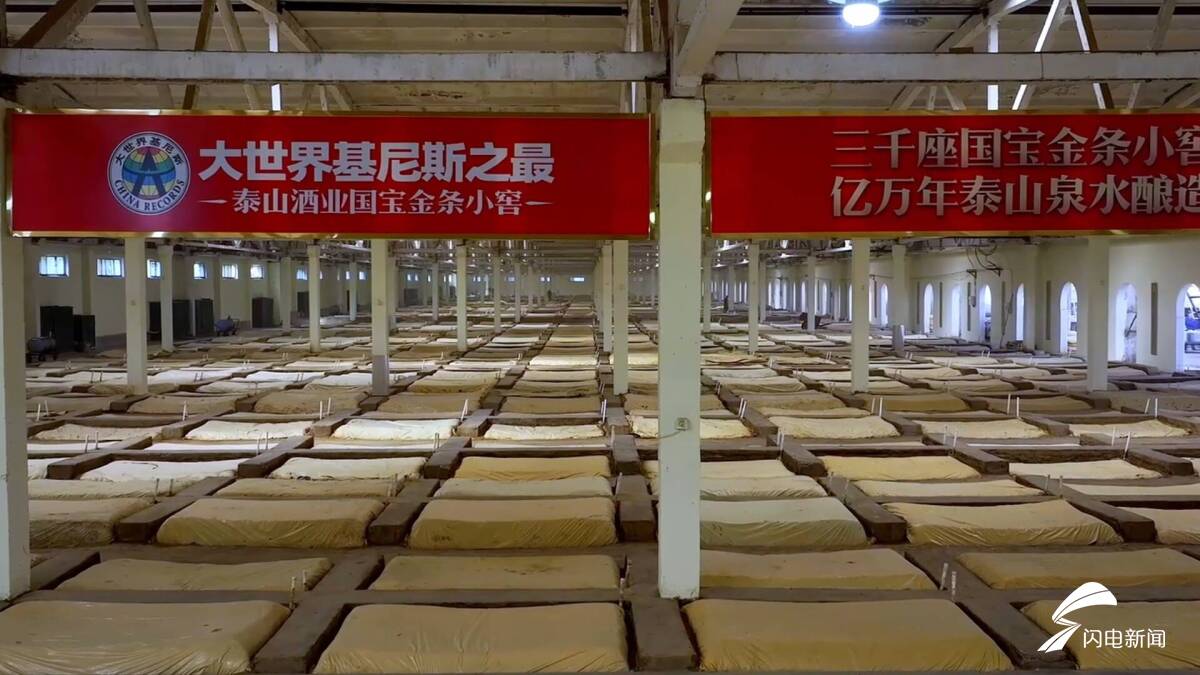 2026省酒泰山山东行品牌大会暨泰山特曲国宴用酒34年荣耀大典举行 - 图6