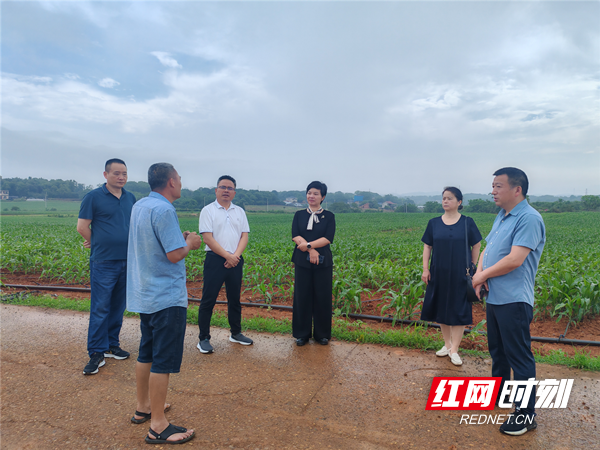 永州市农业农村局：舞动潇湘展风采 振兴乡村再立功 - 图4