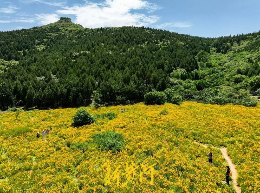 济南又一处美景，成热门网红打卡地 - 图2