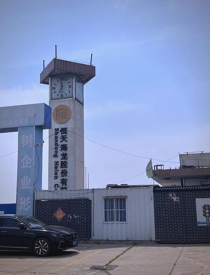 昔日潍坊名片陷入困境，ST海龙14个跌停背后的多重风险 - 图1