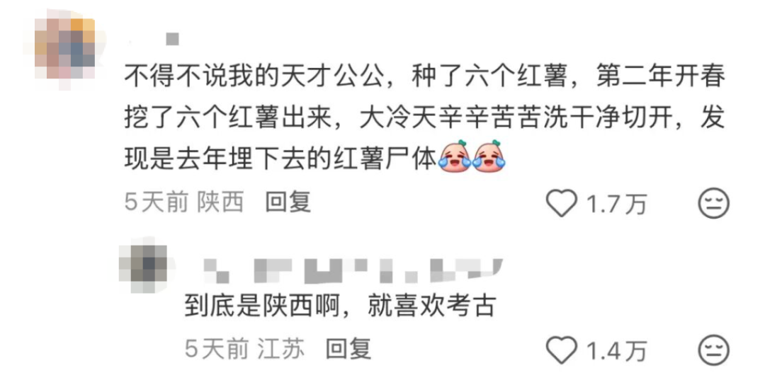“本人于2026年5月种出了番茄，望周知” - 图12