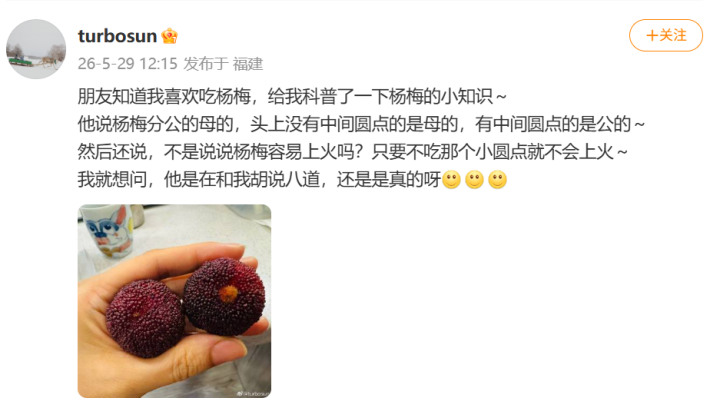 “杨梅分公母吗？”孙俪社交平台发问，网友懵了……专家回应 - 图1