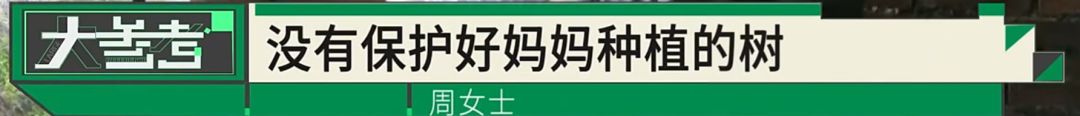 “感觉妈妈彻底走了！”女子20年老宅被亲戚擅装光伏板，母亲种的树全被砍 - 图11