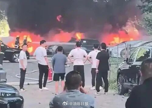 74岁老人点燃杨絮烧毁20辆新能源车！已被采取刑事强制措施 - 图2