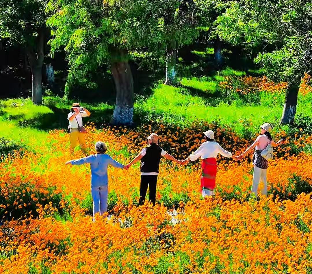 河风漫过辛安河，把一整片橘黄揉进初夏 - 图4