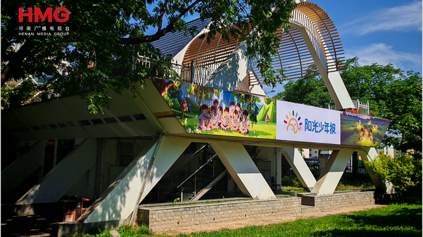 蝴蝶的三次重生！藏在新乡“阳光少年报·馨香书坊”里 - 图3