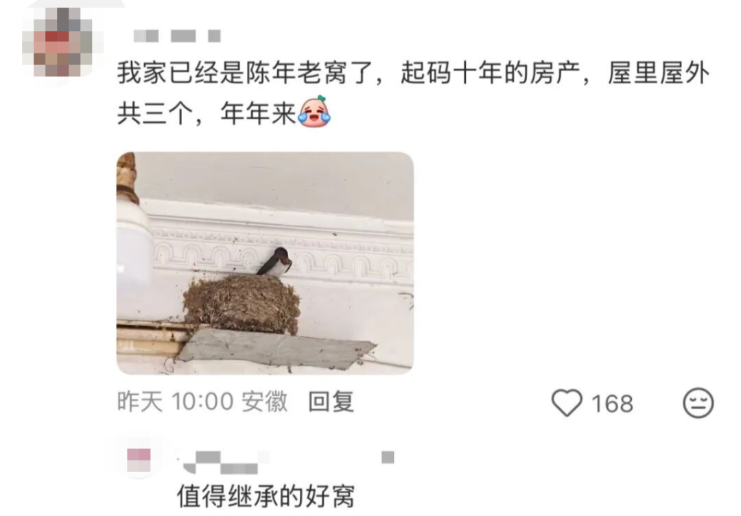 “本人于2026年5月种出了番茄，望周知” - 图28
