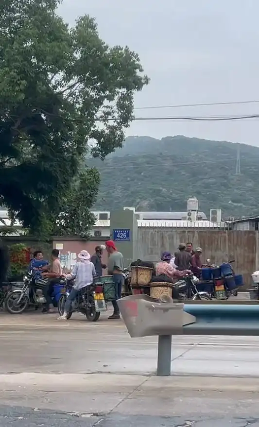“从6元跌到1元，还是卖不出” - 图3