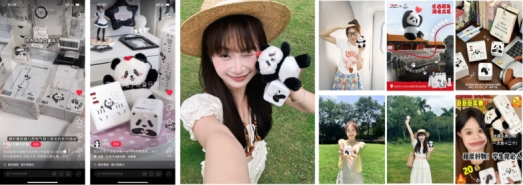 双奖加冕！德力西电气×M.lanpanda萌兰整合营销项目斩获第十七届虎啸奖两项大奖 - 图6