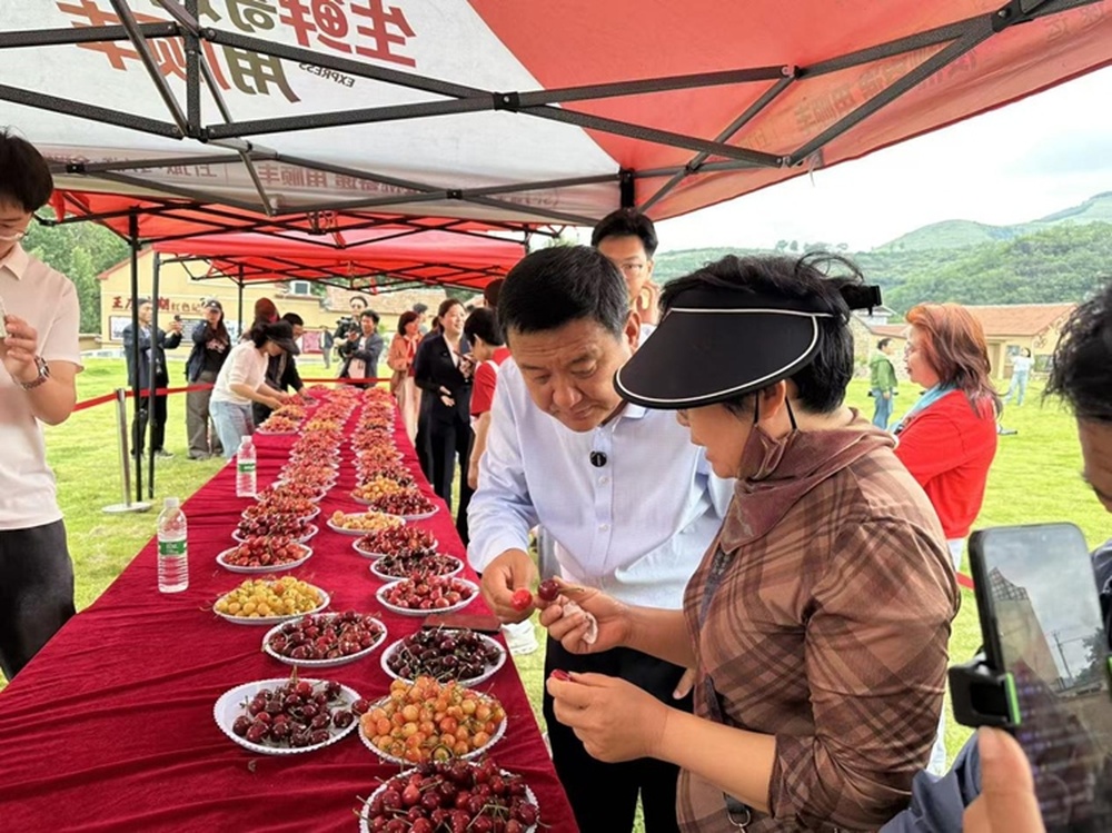 直播网红村｜临沂王庄樱桃红了！这场直播带你细品老区“甜”日子 - 图4