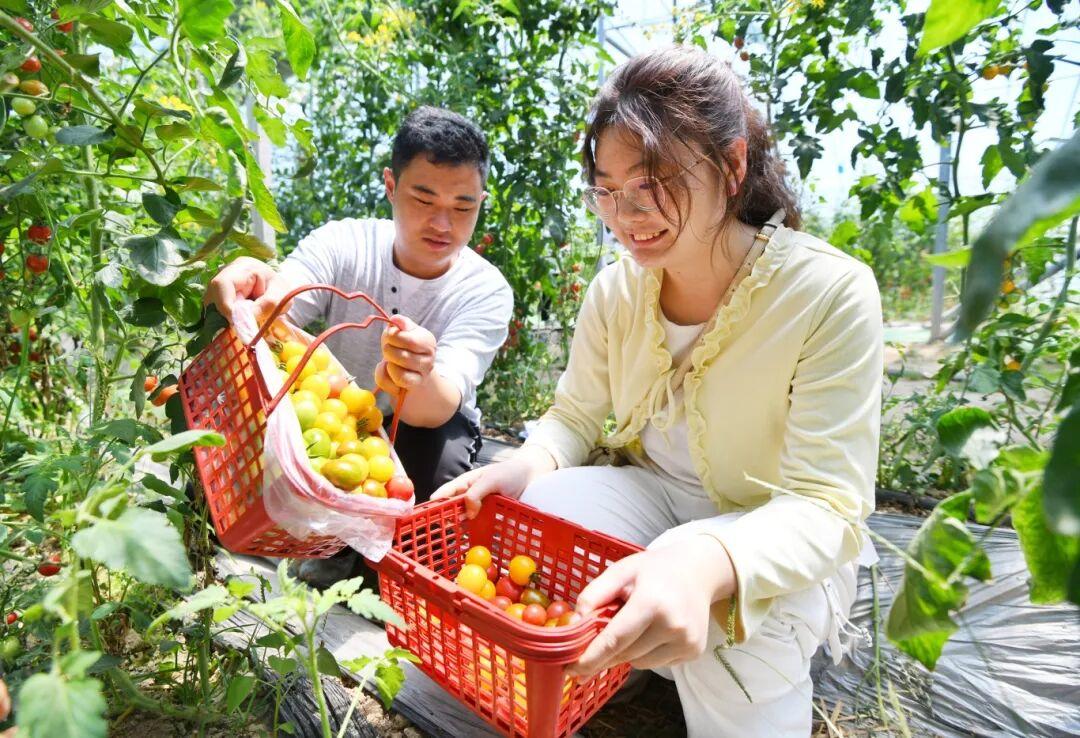 山东省“婚恋新风培育行动”启动暨“牵缘”乡村交友联谊活动在德州举办 - 图5