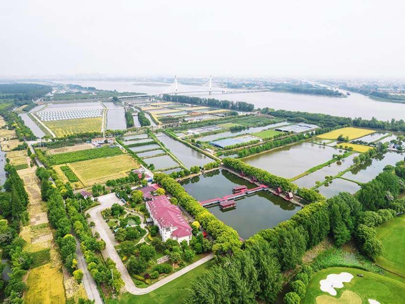 南通通州开沙岛风景秀丽 - 图1